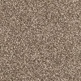 Mohawk CarpetDynamic Quality II